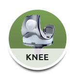 Knee